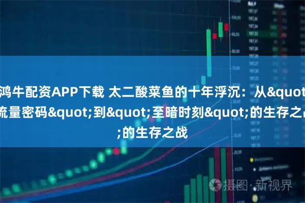 鸿牛配资APP下载 太二酸菜鱼的十年浮沉：从"流量密码"到"至暗时刻"的生存之战