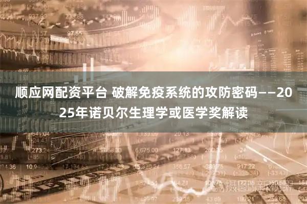 顺应网配资平台 破解免疫系统的攻防密码——2025年诺贝尔生理学或医学奖解读