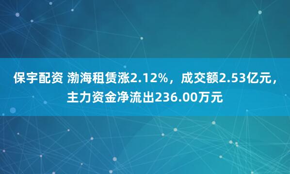 保宇配资 渤海租赁涨2.12%,成交额2.53亿元,主力资金净流出236.00万元