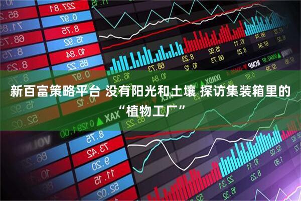 新百富策略平台 没有阳光和土壤 探访集装箱里的“植物工厂”