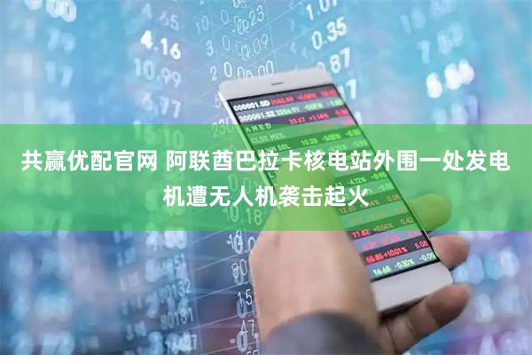 共赢优配官网 阿联酋巴拉卡核电站外围一处发电机遭无人机袭击起火